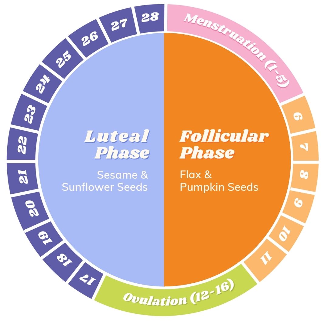 Seed Cycling Chart Understanding A Natural Way To Support Hormones seed-cycling-chart-understanding-a-natural-way-to-support-hormones