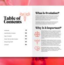 Load image into Gallery viewer, Ovulation Explained