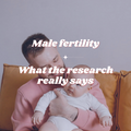 Male Fertility: What the Research Really Says