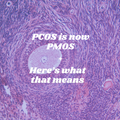 PCOS Is Being Renamed to PMOS — Here’s What That Means